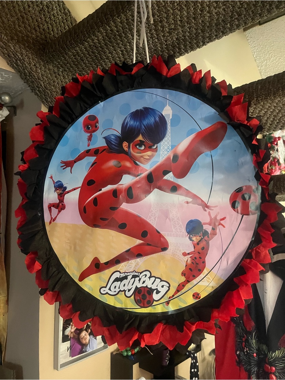 Hand Crafted Red and Black Ladybug Superhero Character Design Party decor - Picture 5 of 5
